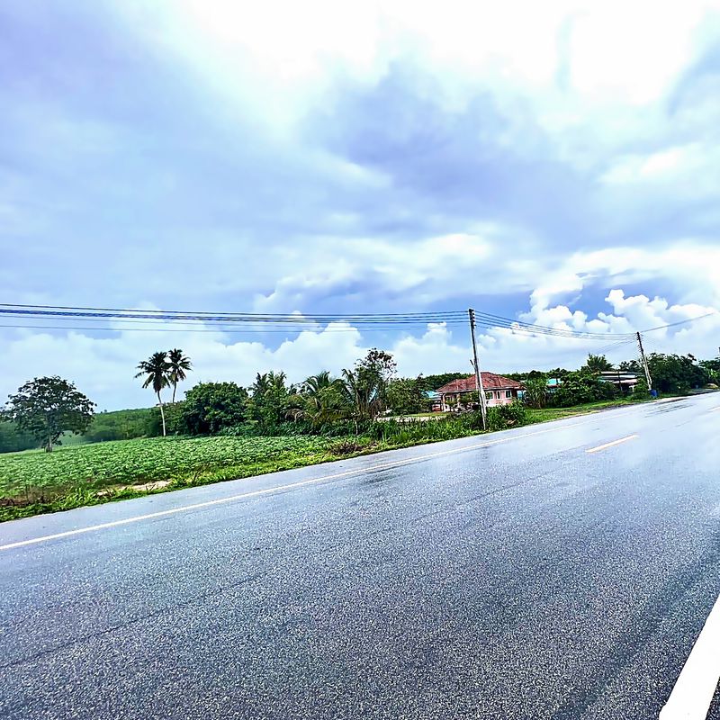 ขายที่ดินนิคมพัฒนา ขายที่ดินระยอง ขายที่ดินนิคมดับบลิวเฮชเอ36